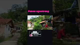 Download Lagu PANAS NGENTRANG DI SURIAN #jamberama #selajambe #kuningan #jawabarat #Indonesia #pedesaan MP3 Download Lagu PANAS NGENTRANG DI SURIAN #jamberama #selajambe #kuningan #jawabarat #Indonesia #pedesaan MP3