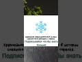 Интересный факт #интересно #познавательно