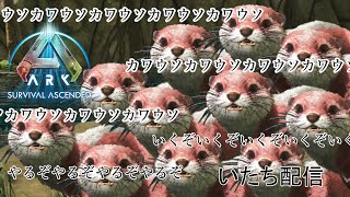 【ASA：PC】寝坊配信者です・・・垂れ流しARK配信久々にやっていきまする・・・