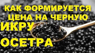 КАК ФОРМИРУЕТСЯ ЦЕНА НА ЧЕРНУЮ ИКРУ ОСЕТРА