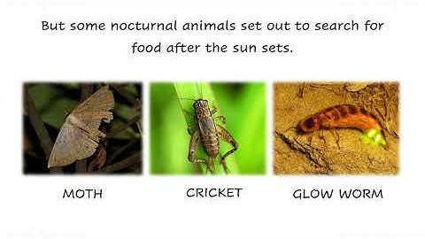 CLASS 3 |  EVS LESSON -25 |  CHANGES IN OUR SURROUNDINGS  | PART 4 | TEXTBOOK (PAGE 146)