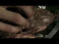 (Short Film) A Cena da Isaac