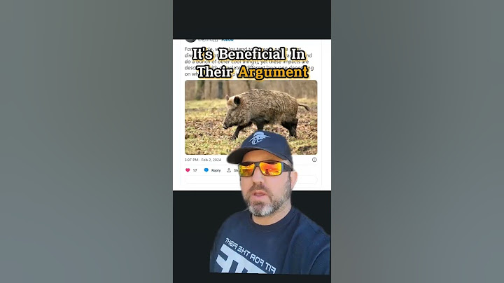 Lets Talk About Feral Pigs and the Environment