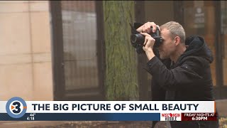 The big picture of small beauty