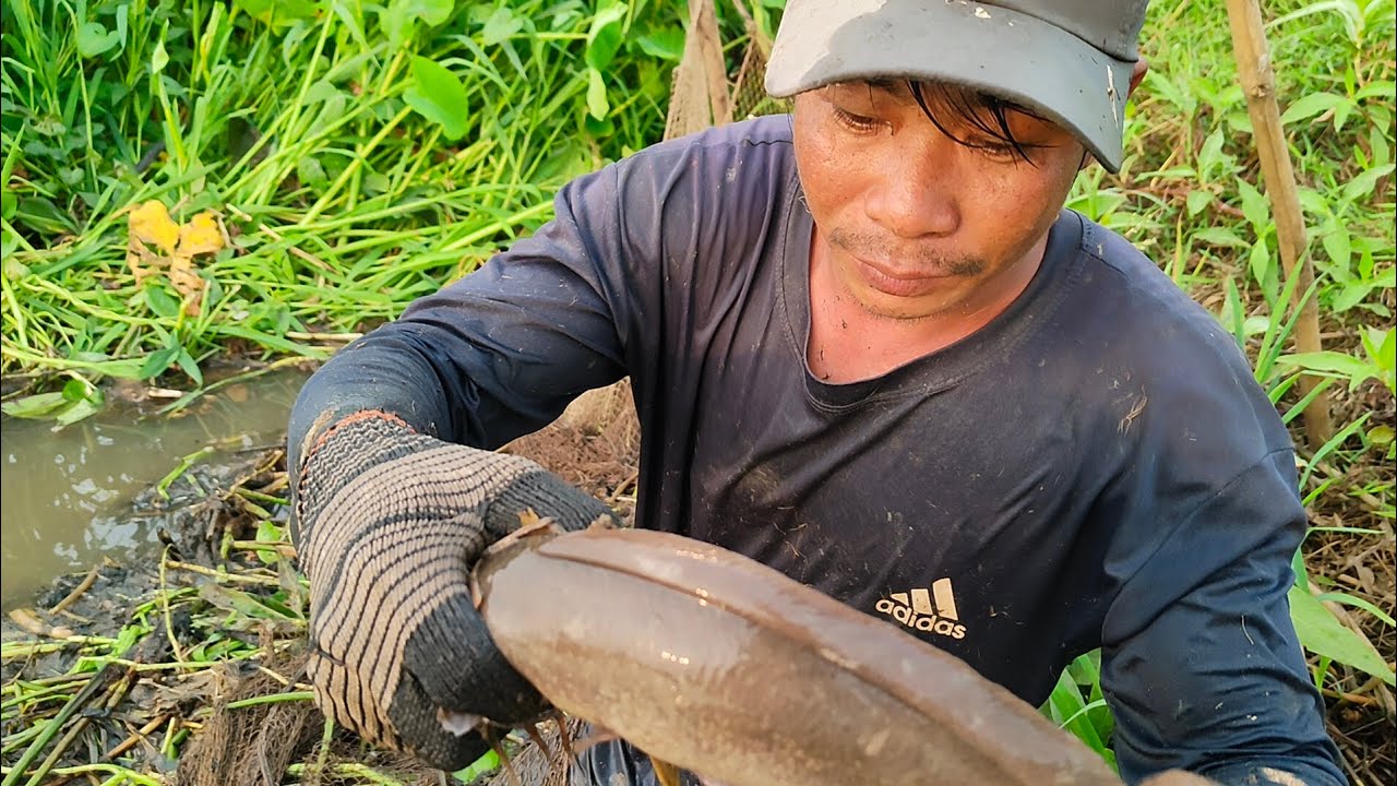 #14 Cùng vợ chồng út Minh trở lại với công việc mưu sinh hằng ngày nhé❤️