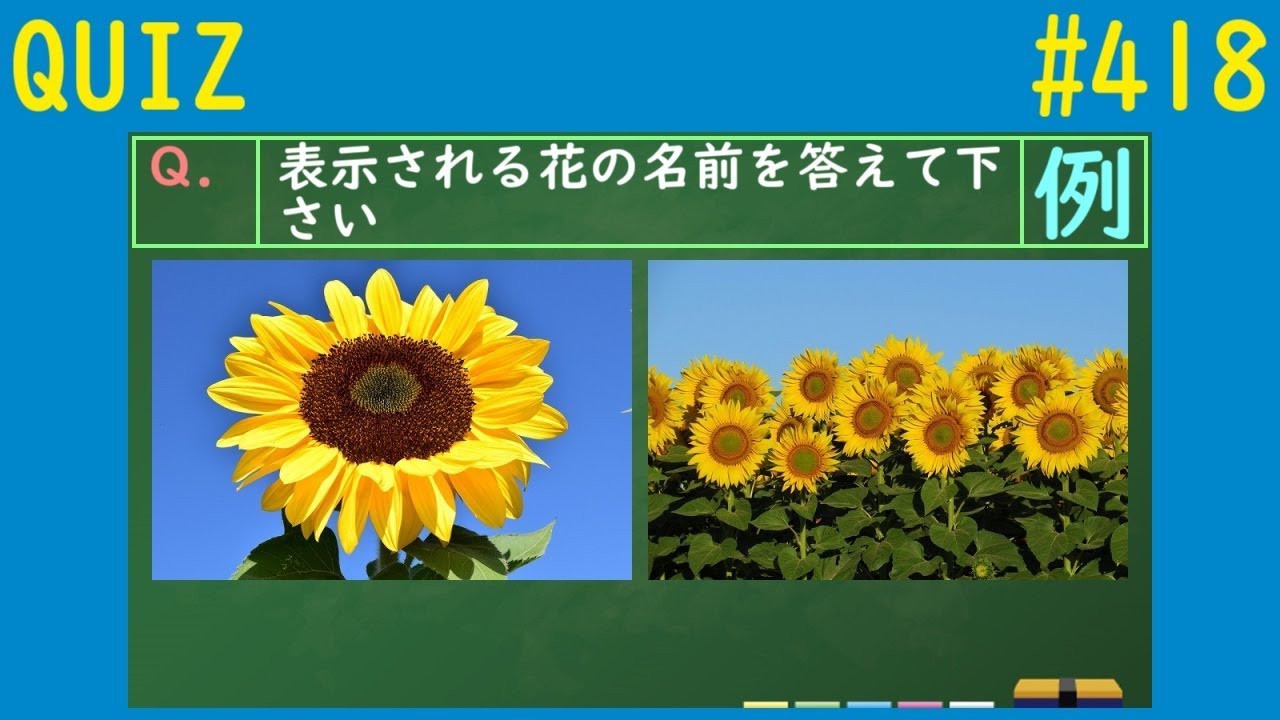 【QUIZ】花の名前クイズ１【#418】