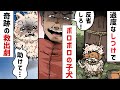 しつけでロープ、口にガムテで捨てられたボロボロの犬→人間不信の犬を救ったのは心優しい人間だった結果・・・< マンガ動画 >【タイスケの動物感動日記】