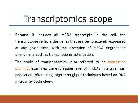 Video: Vad är transkriptionsprofilering?