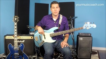 Bass Picks - Beginners Guide - The Music Coach