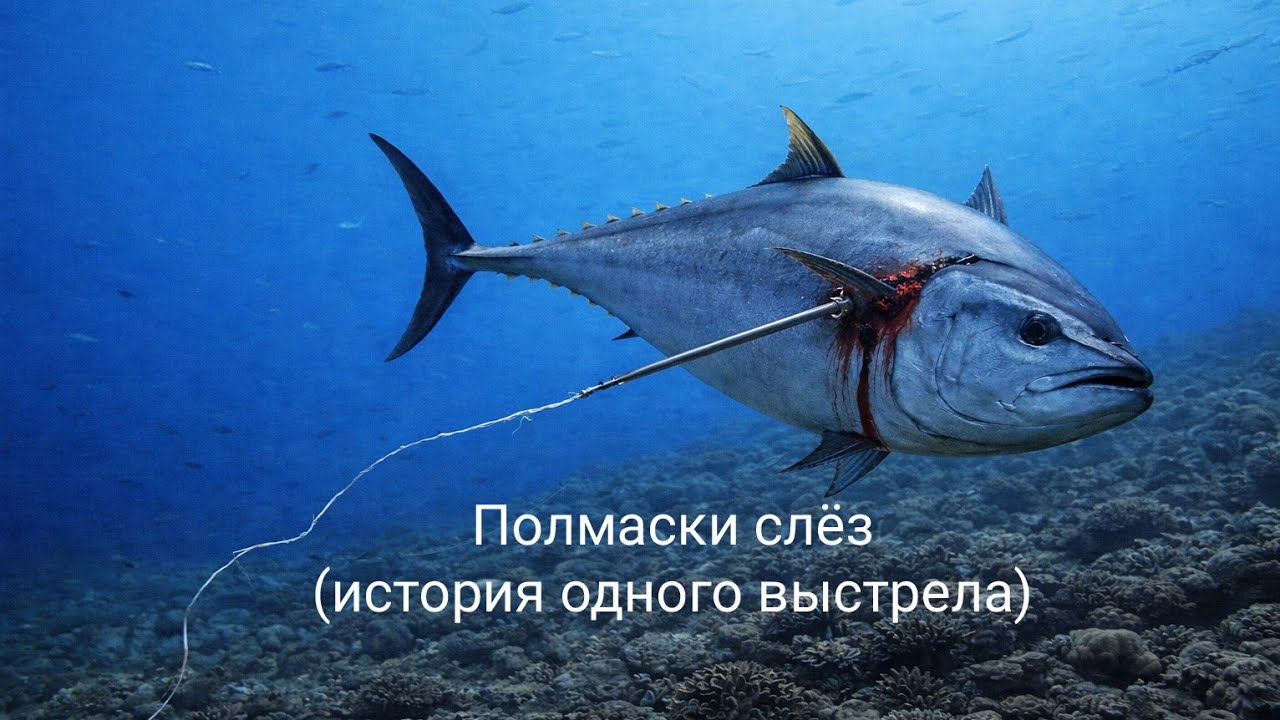 Полмаски слёз. История одного выстрела