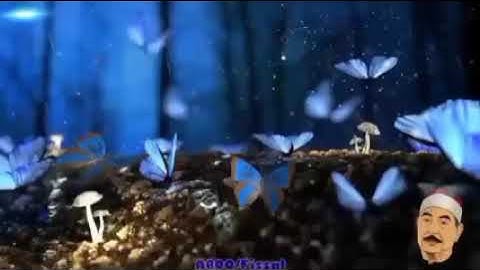 الطبلاوي رحمه الله...سورة القصص...واصبح الذين تمنوا مكانه بالأمس..