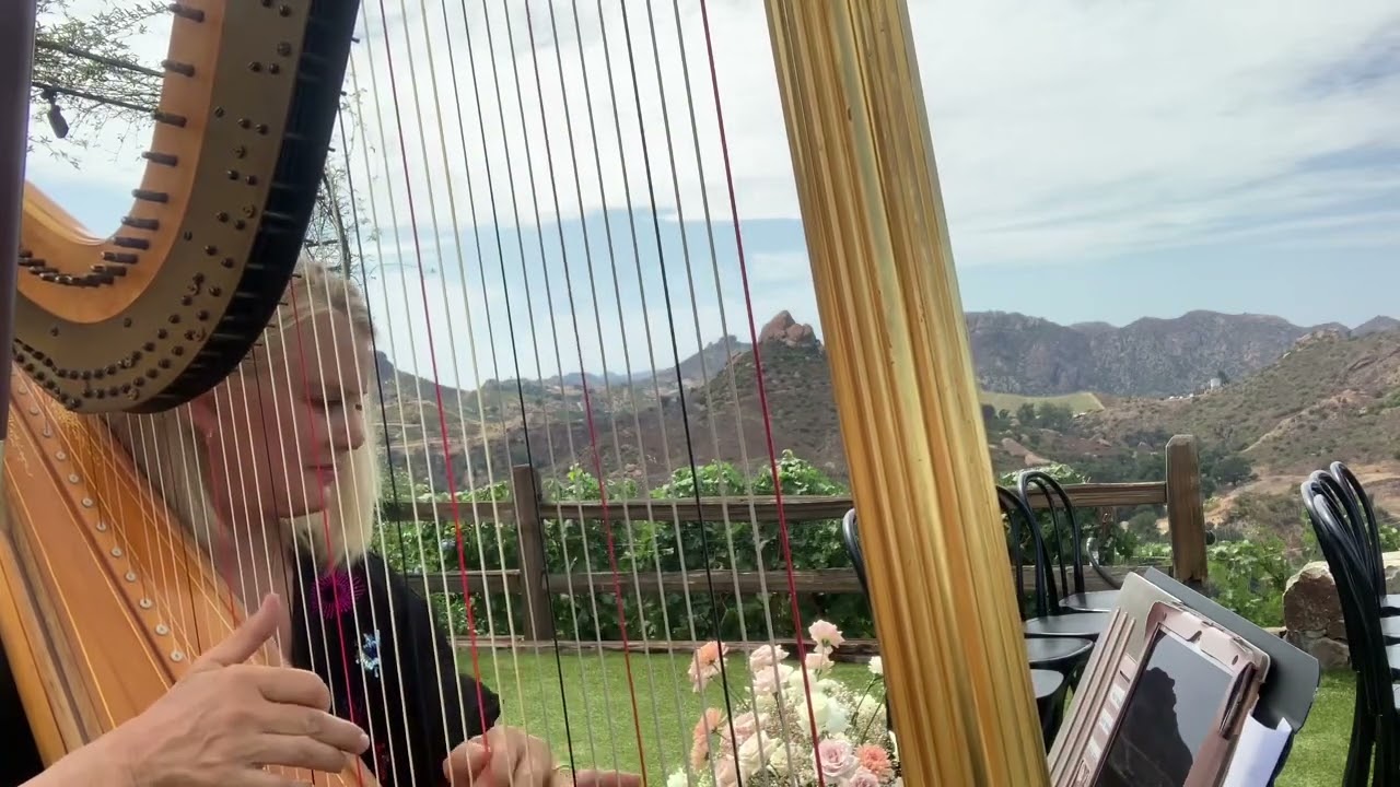 OMG: Can’t Help Falling in Love With You, Los Angeles Harpist (Peggy)