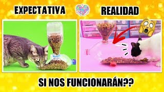 🐈Probando TRUCOS para GATOS Pte 2 ! Juguetes y Comederos para GATOS!😻😺