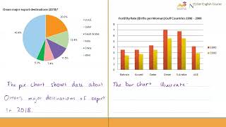 Elective English Writing workshop (Writing a Summary of Visual Data)