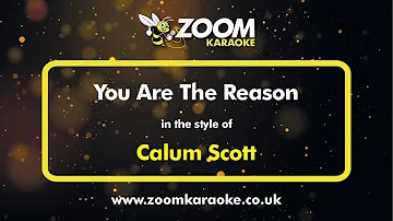 Calum Scott - You Are The Reason - Karaoke Version from Zoom Karaoke