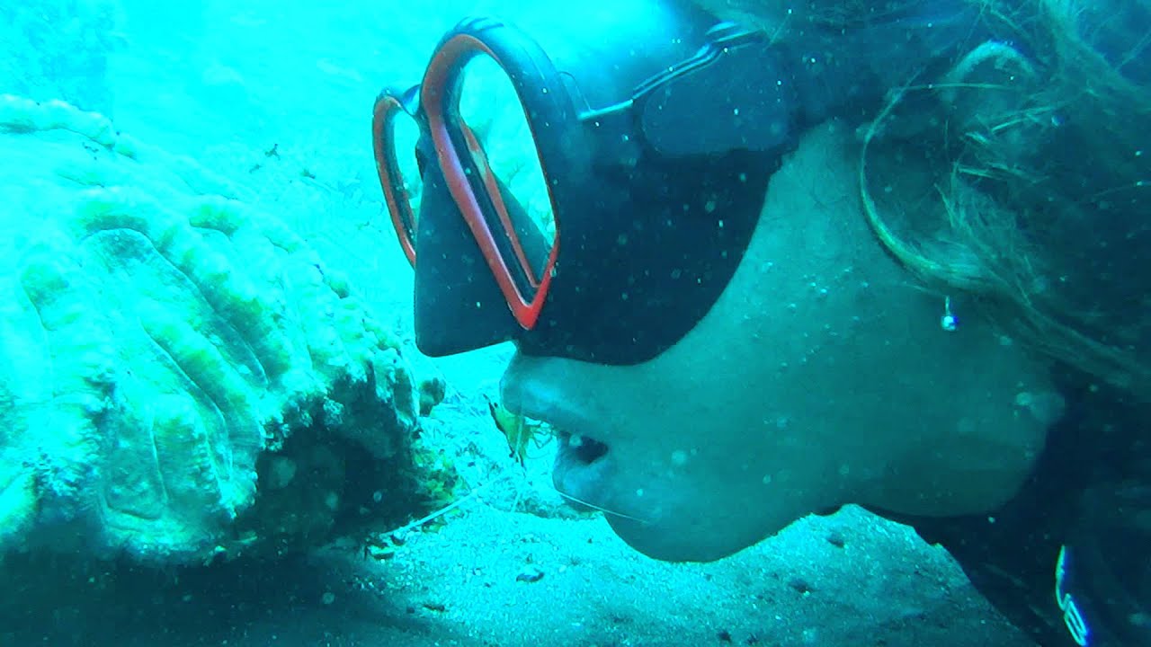 Lovina Dive Center TRUE SCUBA - YouTube