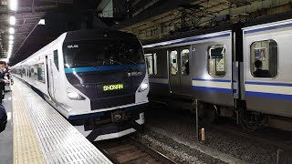 E257系 NA-06編成 特急湘南11号小田原行が品川駅12番線を発車するシーン