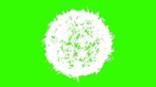 Feather Explosion Green Screen Free Footage Hd