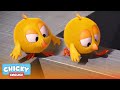 Where's Chicky? Funny Chicky 2020 | CHALLENGE THE FLOOR IS LAVA | Chicky Cartoon in English for Kids