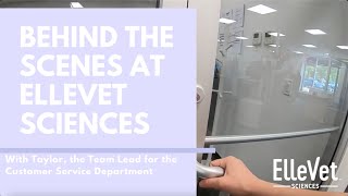 Behind the Scenes at ElleVet Sciences: With Taylor, the Team Lead for the Customer Service Dept.