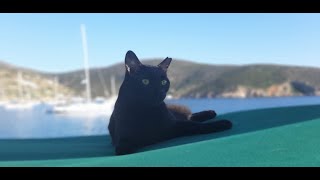 Atlantik Okyanusu Geçişi Resimi