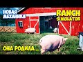 Ranch Simulator #4 - Рождение Новых Животных - Новая механика игры
