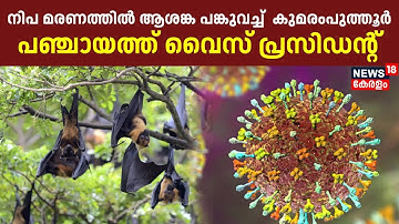 Nipah Death | നിപ മരണം; പ്രതികരിച്ച് പഞ്ചായത്ത് കുമരംപുത്തൂർ വൈസ് പ്രസിഡന്റ് | Nipah Outbreak
