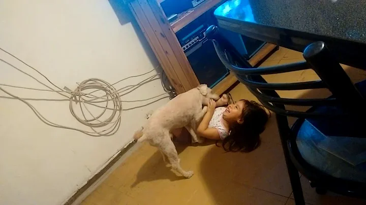 El mejor amigo y fiel