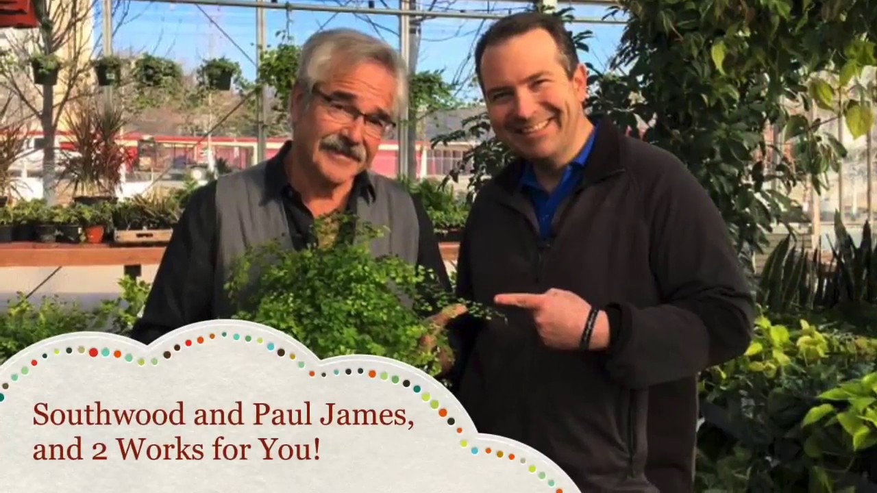 Plant a Row for the Hungry at Southwood Landscape and ...