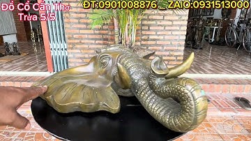 Đầu Trâu Bằng Đồng _ Đầu Sư Tử Đồng _ Đầu Voi Đồng. Trưa 5/5 #đồcổcầnthơ #đồcổ