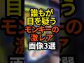 誰もが目を疑うモンキーターン5の激レア画像3選 #スマスロ#パチスロ#スロット#パチンコ#モンキーターン