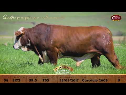 Lote 08 - TAT 5172