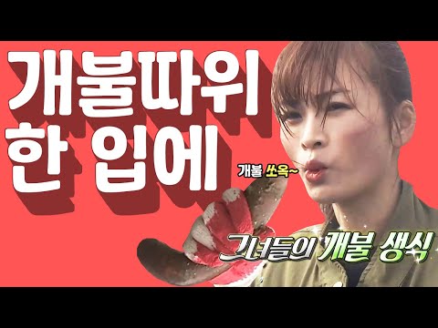 | 통일준비 <strong>생활백서</strong>, 잘 살아보세