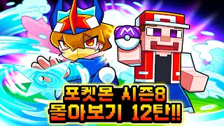 포켓몬 미션생존기 시즌8 몰아보기 12탄 [사이]