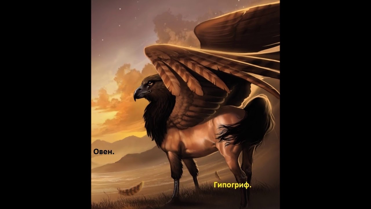 Тест какое ты мифическое животное с картинками