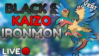 Can We Beat Pokemon BLACK 2 KAIZO IRONMON for the First Time