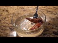 Potassium Hydroxide Dissolves Chicken To The Bone