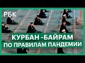 Курбан-байрам в пандемию. Как мусульмане отмечают праздник?