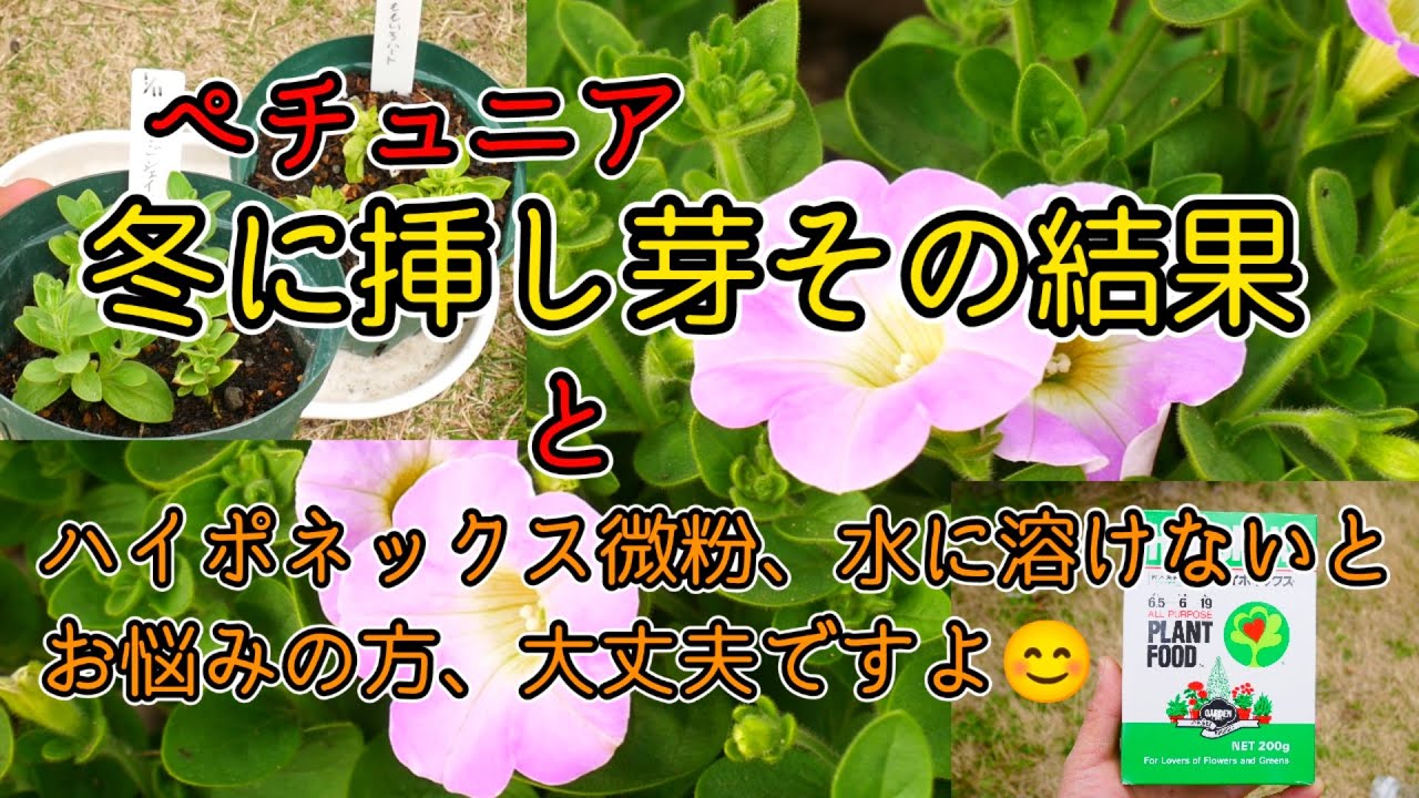 微粉化リピジルリーフレット