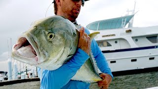 Fishing for Inshore MONSTERS by the Docks