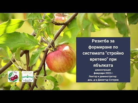 Видео: За ябълките Winesap: Съвети за отглеждане на ябълково дърво Winesap