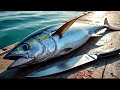 Precision Cuts❗🔥 Yellowfin Tuna Cutting Skills like a Pro in Sorong city, Indonesia