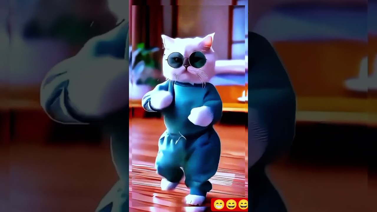 Ai cat dance video 