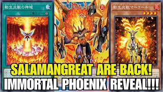 NEW! Salamangreat Are Reignited! INSANE SUPPORT!!! Immortal Phoenix! Yu-Gi-Oh!