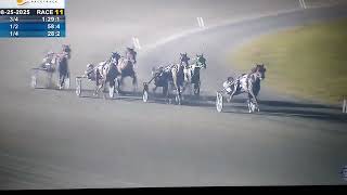 Mr Royal T Dash win at Ocean Downs race 11 8/25/25