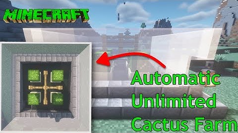 How to Make Automatic Unlimited Cactus Farm in Minecraft 1.16 | #tiktokhacks #minecraft #cactusfarm