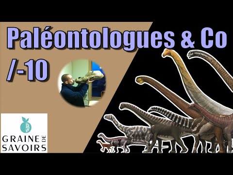 Vidéo: D'où vient le nom sauropode ?