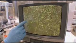 Bio Digest 106