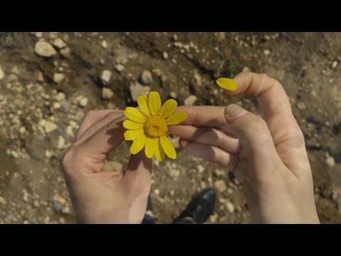 What A Wonderful World ! [HQ]