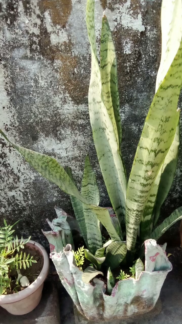 Love of life 💝💝💝 - ShareChat